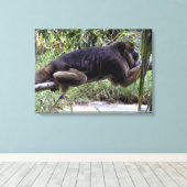 Howler Monkey Hangout Leinwanddruck (Insitu (Holzboden))