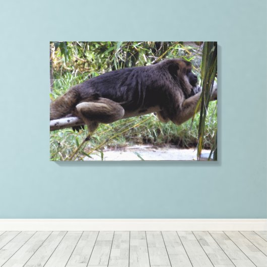Howler Monkey Hangout Leinwanddruck (Insitu (Holzboden))