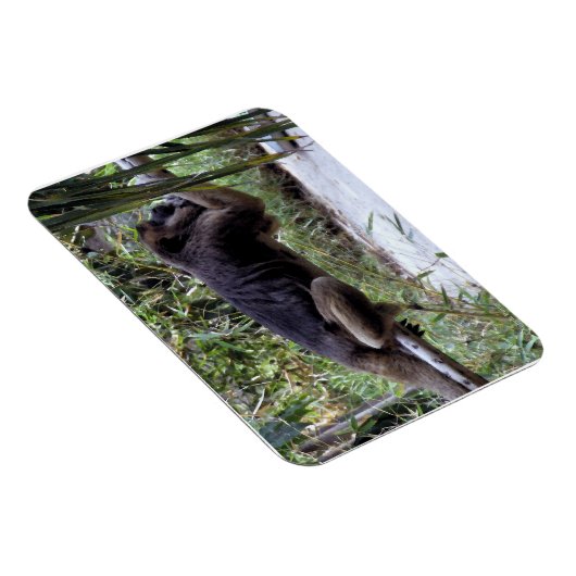 Howler Monkey Hangout Magnet (Rechte Seite)