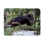 Howler Monkey Hangout Magnet (Horizontal)
