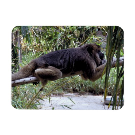 Howler Monkey Hangout Magnet (Horizontal)