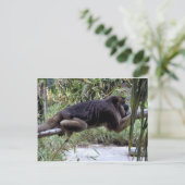 Howler Monkey Hangout Postkarte (Stehend Vorderseite)