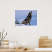 Howling Alaskan Timber Wolf Poster (Küche)