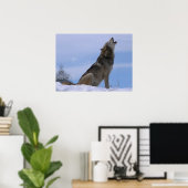 Howling Alaskan Timber Wolf Poster (Heimbüro)