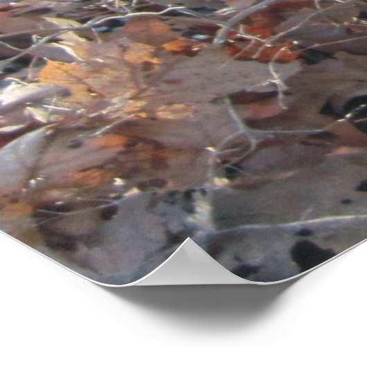 Howling Beagle & Beagle Buddy in Woods Poster (Ecke)