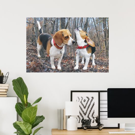 Howling Beagle & Beagle Buddy in Woods Poster (Heimbüro)