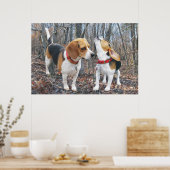 Howling Beagle & Beagle Buddy in Woods Poster (Küche)