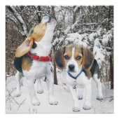 Howling Beagle Pup & Beagle Buddy Poster (Vorderseite)