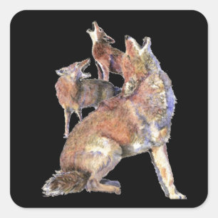 Howling Coyote Pack, Animal, Nature Wildlife Quadratischer Aufkleber