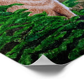 Howling Coyote Poster (Ecke)