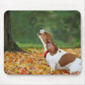 Howling Dog Mousepad (Vorne)