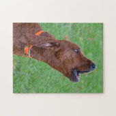 Howling Redbone Coonhound Jagdhund Puzzle (Horizontal)