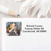Howling Treeing Walker Coonhound (Insitu)
