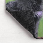 Howling Wolf Cub Mousepad (Ecke)