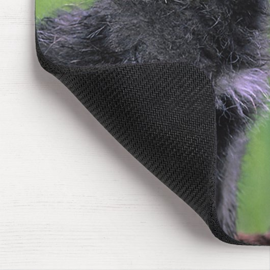 Howling Wolf Cub Mousepad (Ecke)