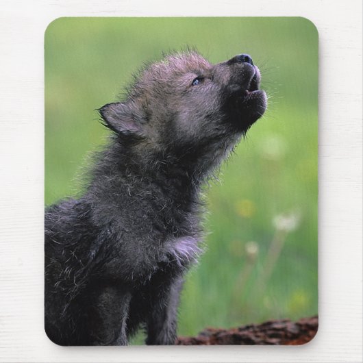 Howling Wolf Cub Mousepad (Vorne)