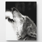 Howling Wolf Fotoplatte (Vorderseite)