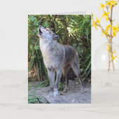 Howling Wolf Geburtstagskarte Karte (Gelbe Blume)