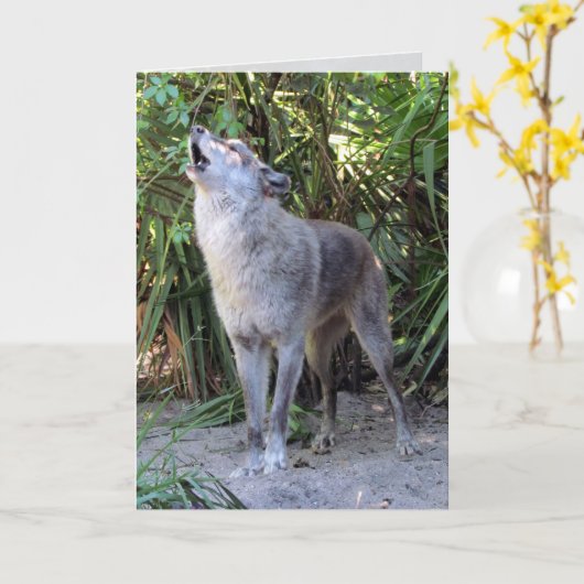 Howling Wolf Geburtstagskarte Karte (Gelbe Blume)