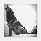 Howling Wolf im Schnee Magnet (Vorne)
