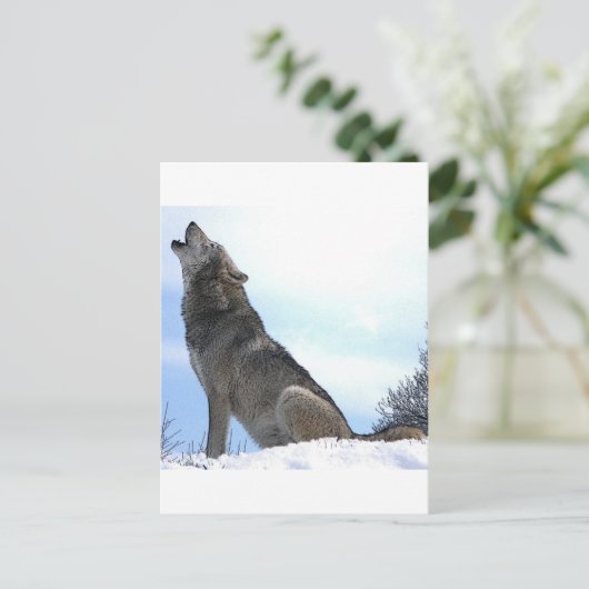 Howling Wolf im Schnee Postkarte (Stehend Vorderseite)