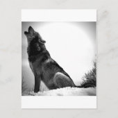 Howling Wolf im Schnee Postkarte (Vorderseite)