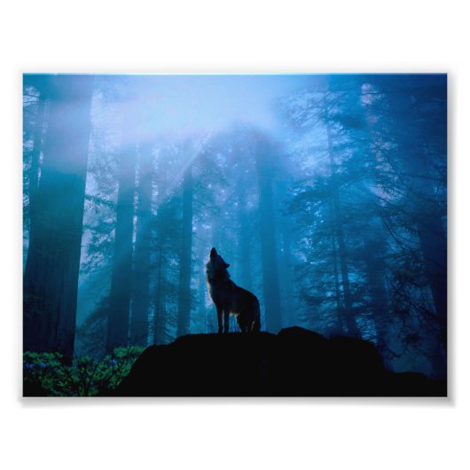 Howling Wolf in der Wildnis Fotodruck (Vorne)