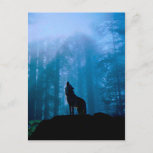 Howling Wolf in der Wildnis Postkarte
