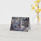 Howling Wolf Karte (Gelbe Blume)