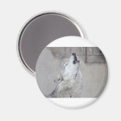 Howling Wolf Magnet (Vorderseite/Rückseite)