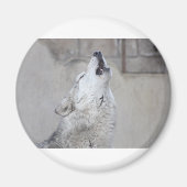 Howling Wolf Magnet (Vorne)