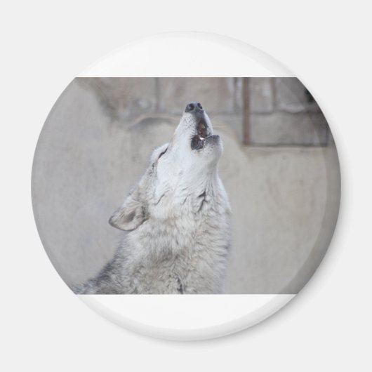 Howling Wolf Magnet (Vorne)