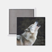 Howling Wolf Magnet (Vorderseite/Rückseite)