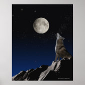 Howling Wolf Poster (Vorne)