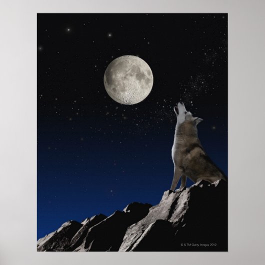 Howling Wolf Poster (Vorne)