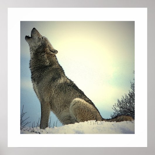 Howling Wolf Poster Print mit weißen Grenzen (Vorne)