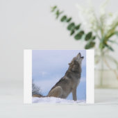 Howling Wolf Postkarte (Stehend Vorderseite)
