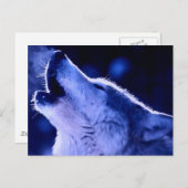 Howling Wolf Postkarte (Vorne/Hinten)