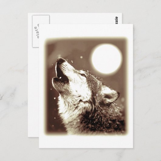 Howling Wolf Postkarte (Vorne/Hinten)