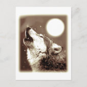 Howling Wolf Postkarte (Vorderseite)