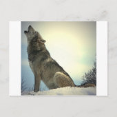 Howling Wolf Postkarte (Vorderseite)