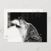 Howling Wolf Postkarte (Vorne/Hinten)