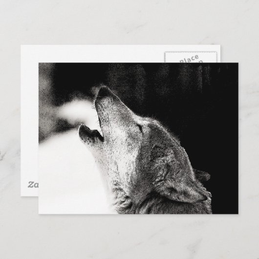 Howling Wolf Postkarte (Vorne/Hinten)