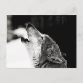Howling Wolf Postkarte (Vorderseite)