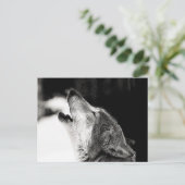 Howling Wolf Postkarte (Stehend Vorderseite)
