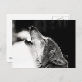 Howling Wolf Postkarte (Vorne/Hinten)