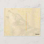 Howling Wolf Postkarte (Rückseite)