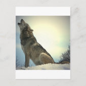 Howling Wolf Postkarte (Vorderseite)