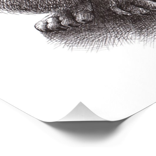 Howling Wolf trifft Singing Owls Poster (Ecke)