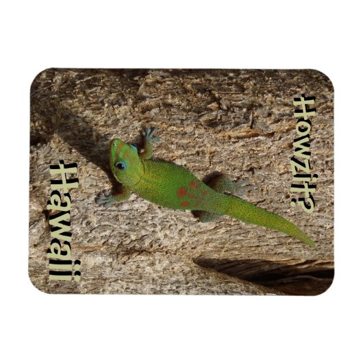 Howzit Hawaii Gecko-tropischer Rechteckmagnet Magnet (Horizontal)